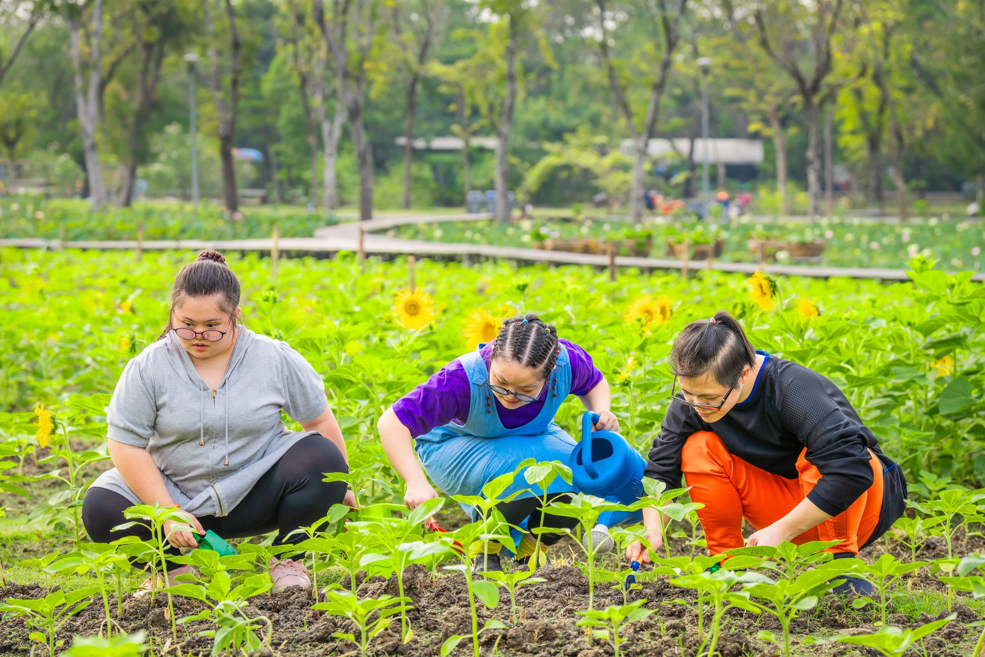 group of friends with autism or down syndrome learning gardening together